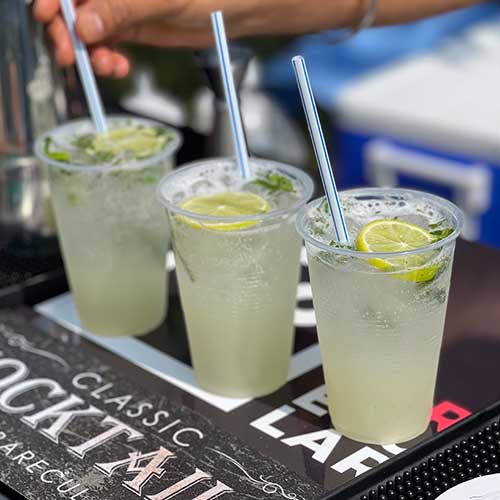 Mobile Cocktail Catering in the GTA