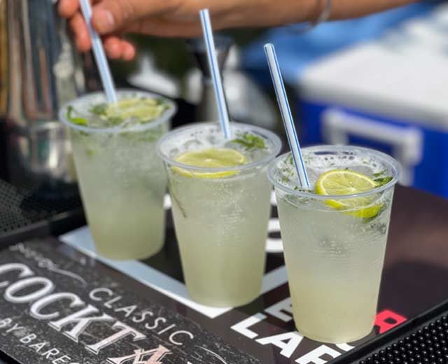 Mobile Cocktail Catering in Toronto and Southern Ontario